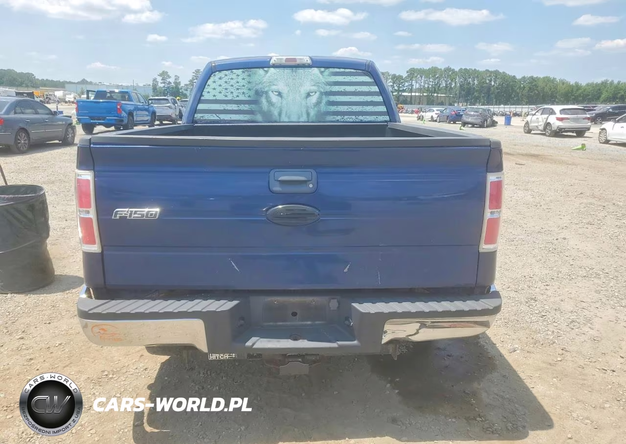 2009 Ford F150 Super Cab VIN:1FTRX12899KA39764 - 6