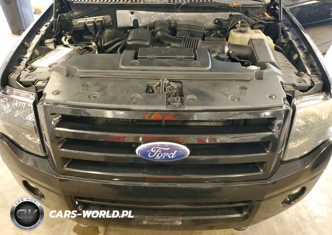 2010 Ford Expedition El Limited VIN:1FMJK2A59AEB20609 - 12