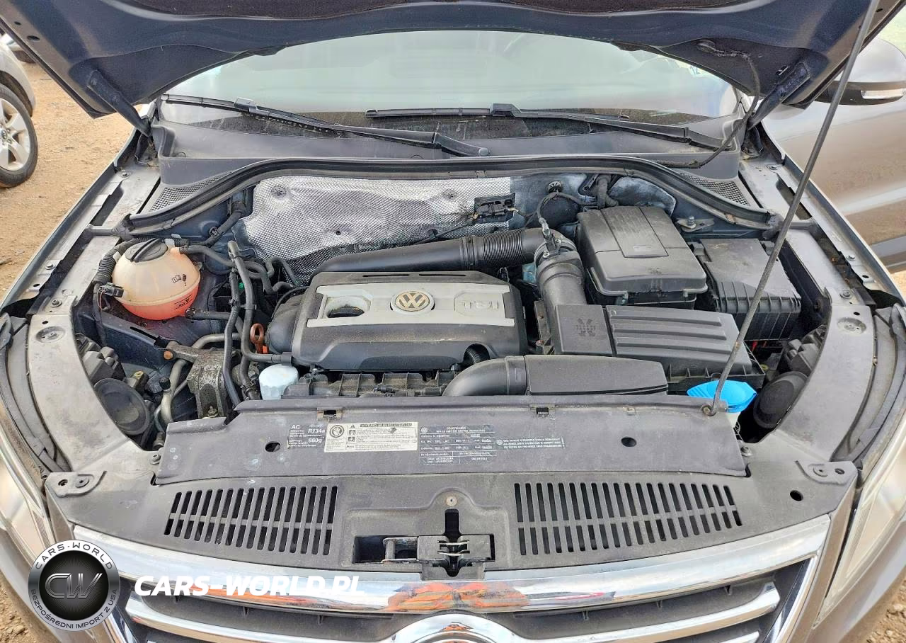 2010 Volkswagen Tiguan Se VIN:WVGBV7AX7AW538137 - 11