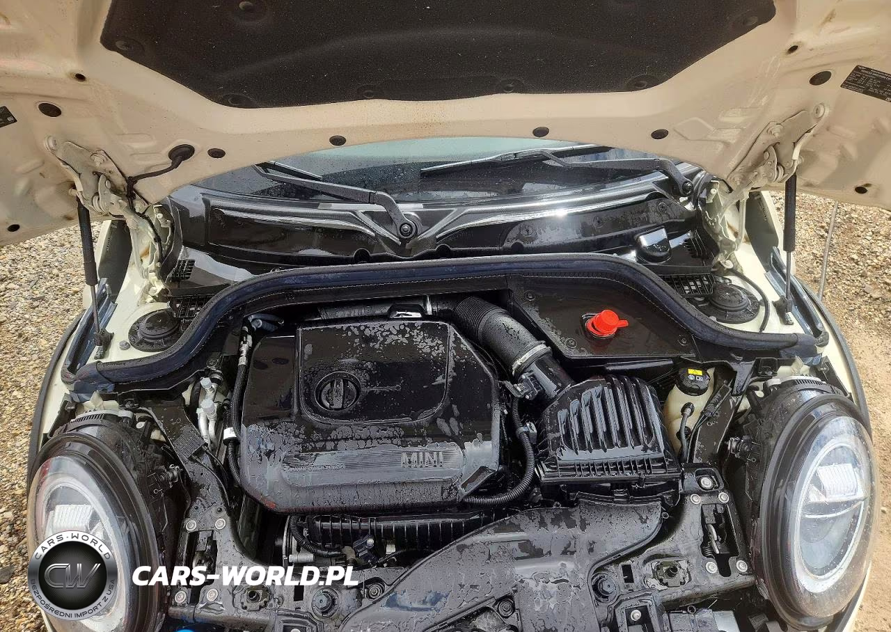 2021 Mini Cooper VIN:WMWXU7C08M2P10021 - 11