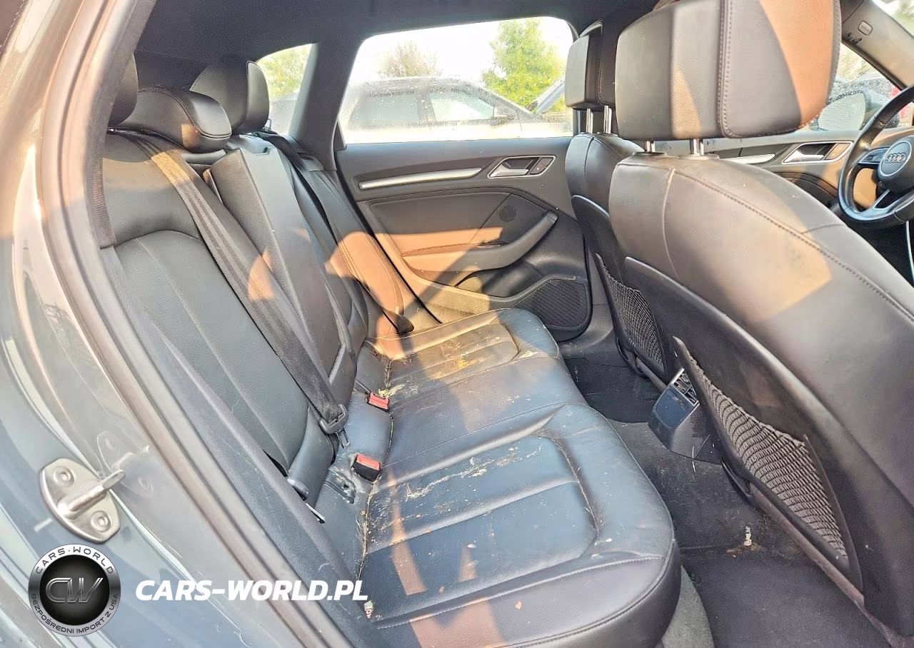 2017 Audi A3 E-Tron Premium VIN:WAUUPBFF8HA042066 - 10