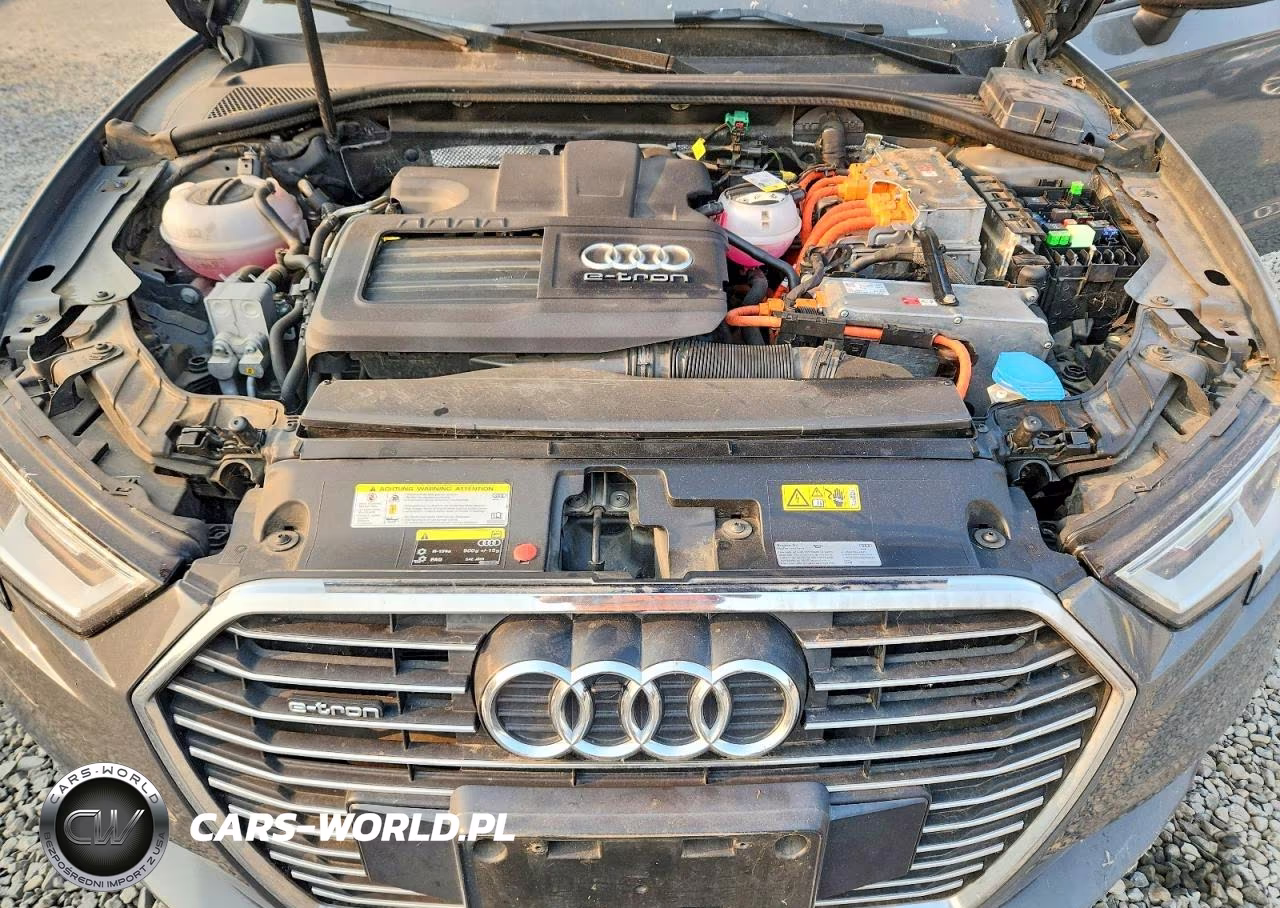 2017 Audi A3 E-Tron Premium VIN:WAUUPBFF8HA042066 - 11