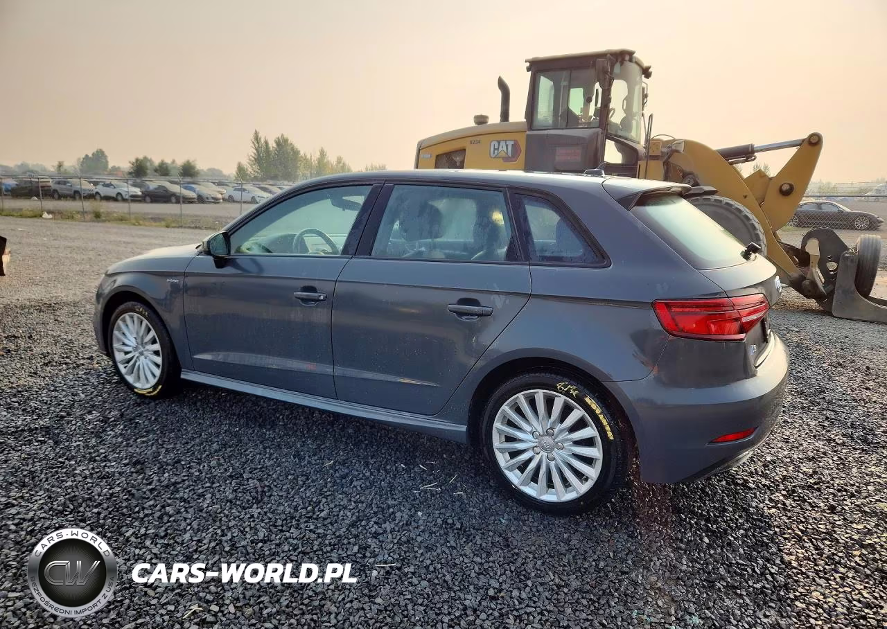 2017 Audi A3 E-Tron Premium VIN:WAUUPBFF8HA042066 - 2