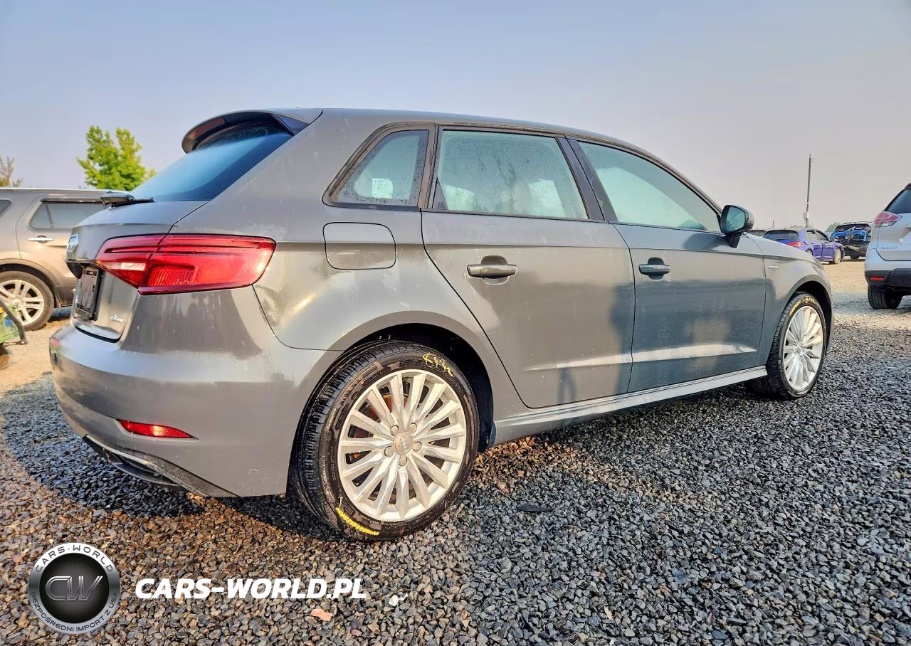 2017 Audi A3 E-Tron Premium VIN:WAUUPBFF8HA042066 - 3