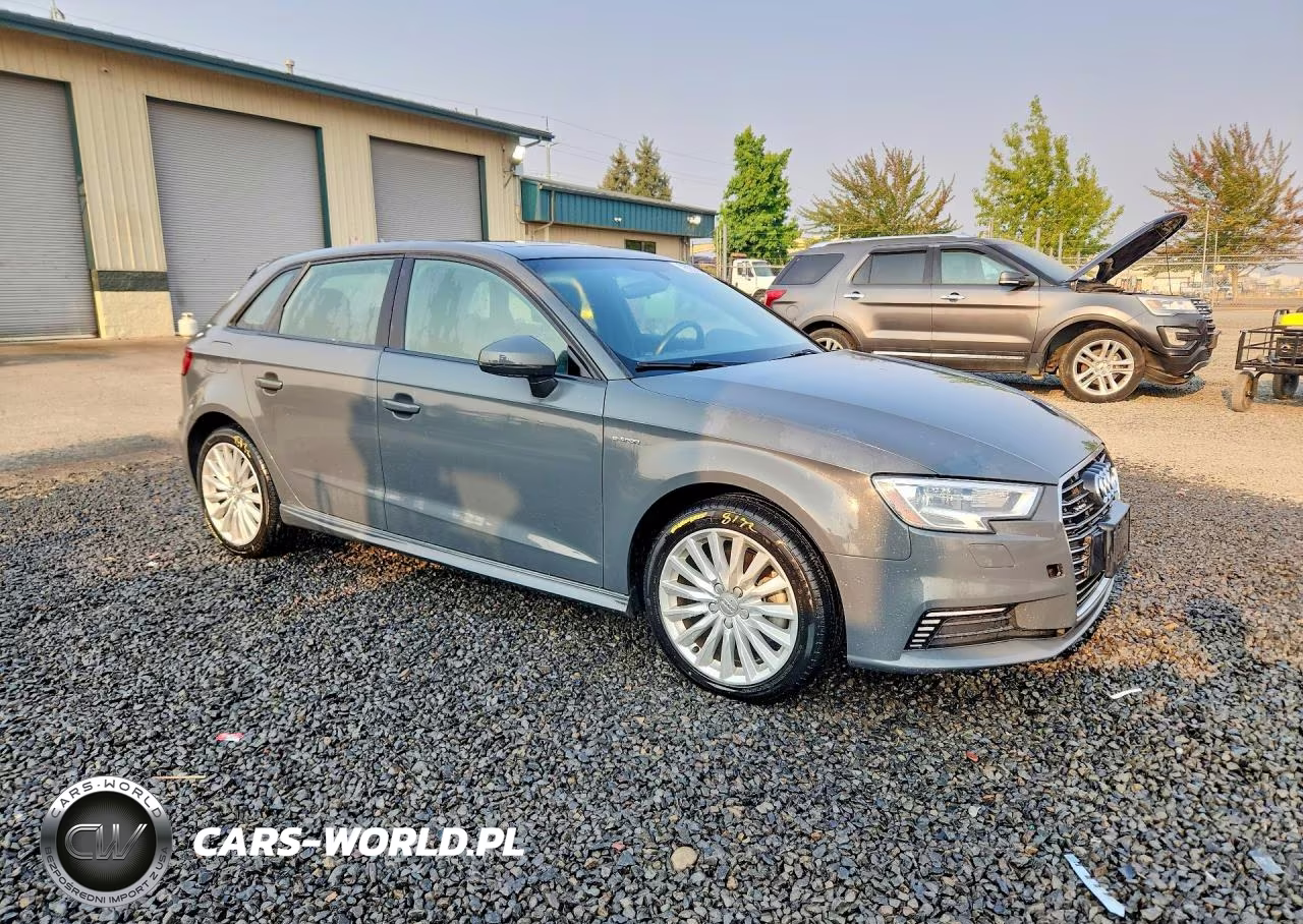 2017 Audi A3 E-Tron Premium VIN:WAUUPBFF8HA042066 - 4