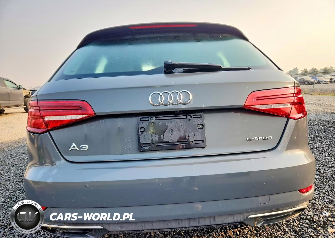 2017 Audi A3 E-Tron Premium VIN:WAUUPBFF8HA042066 - 6
