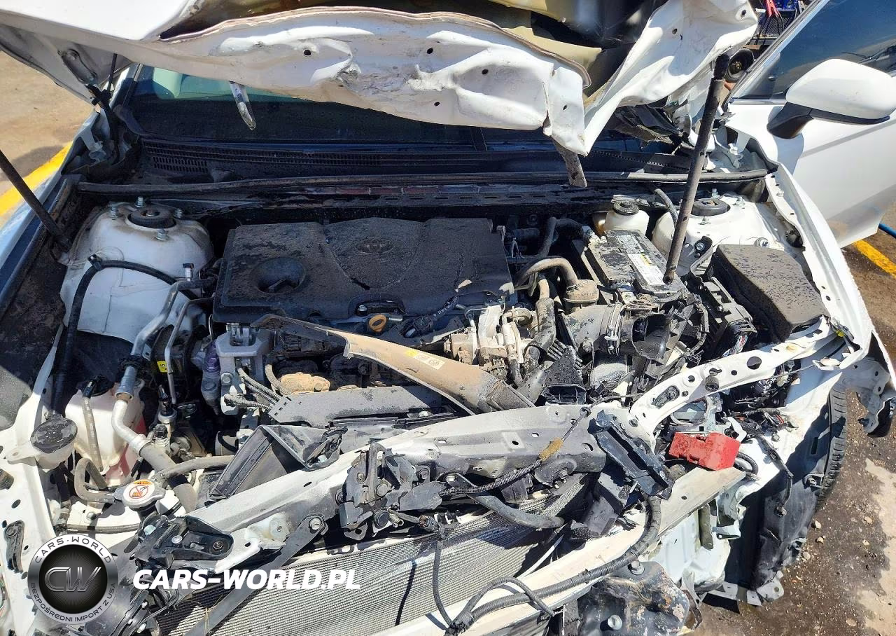 2019 Toyota Camry Se VIN:4T1B11HK6KU712067 - 11