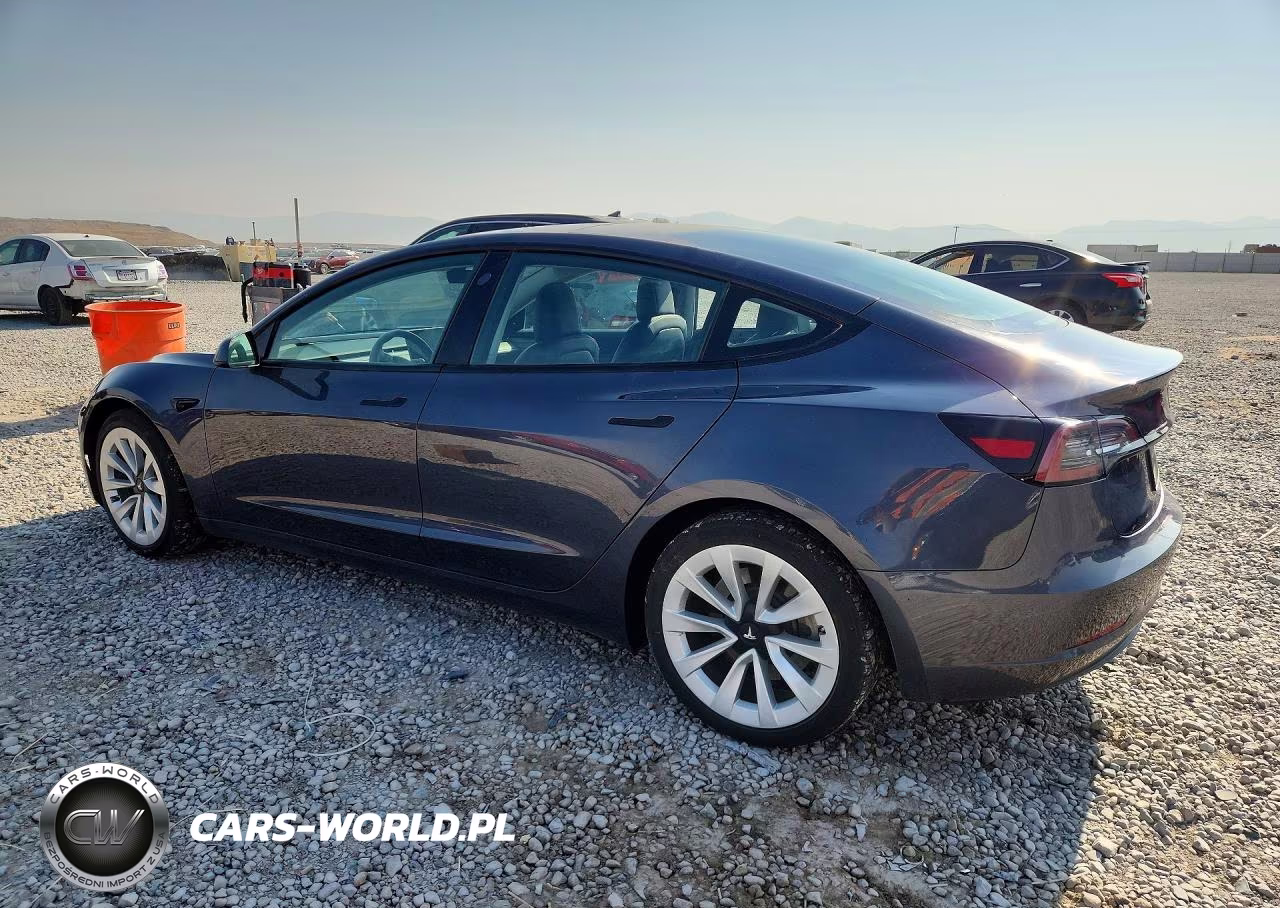2023 Tesla Model 3 VIN:5YJ3E1EB4PF393219 - 2