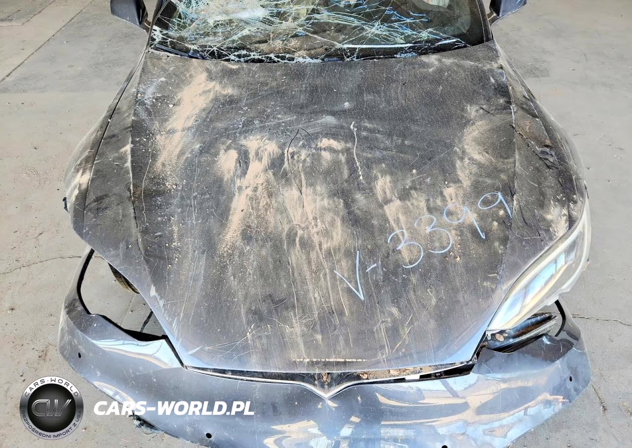 2016 Tesla Model S VIN:5YJSA1E49GF143399 - 11
