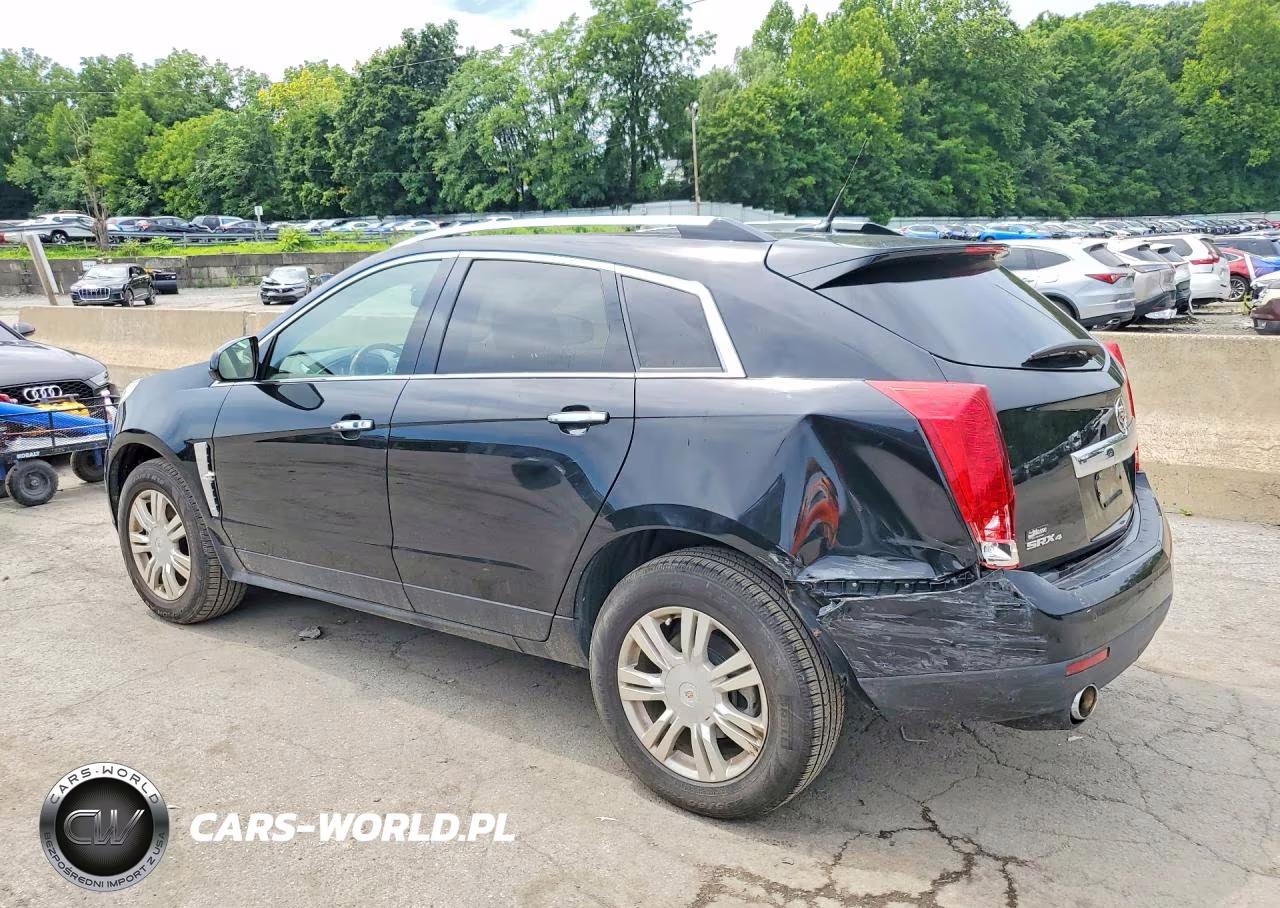 2011 Cadillac Srx Luxury Collection VIN:3GYFNDEY2BS530946 - 2