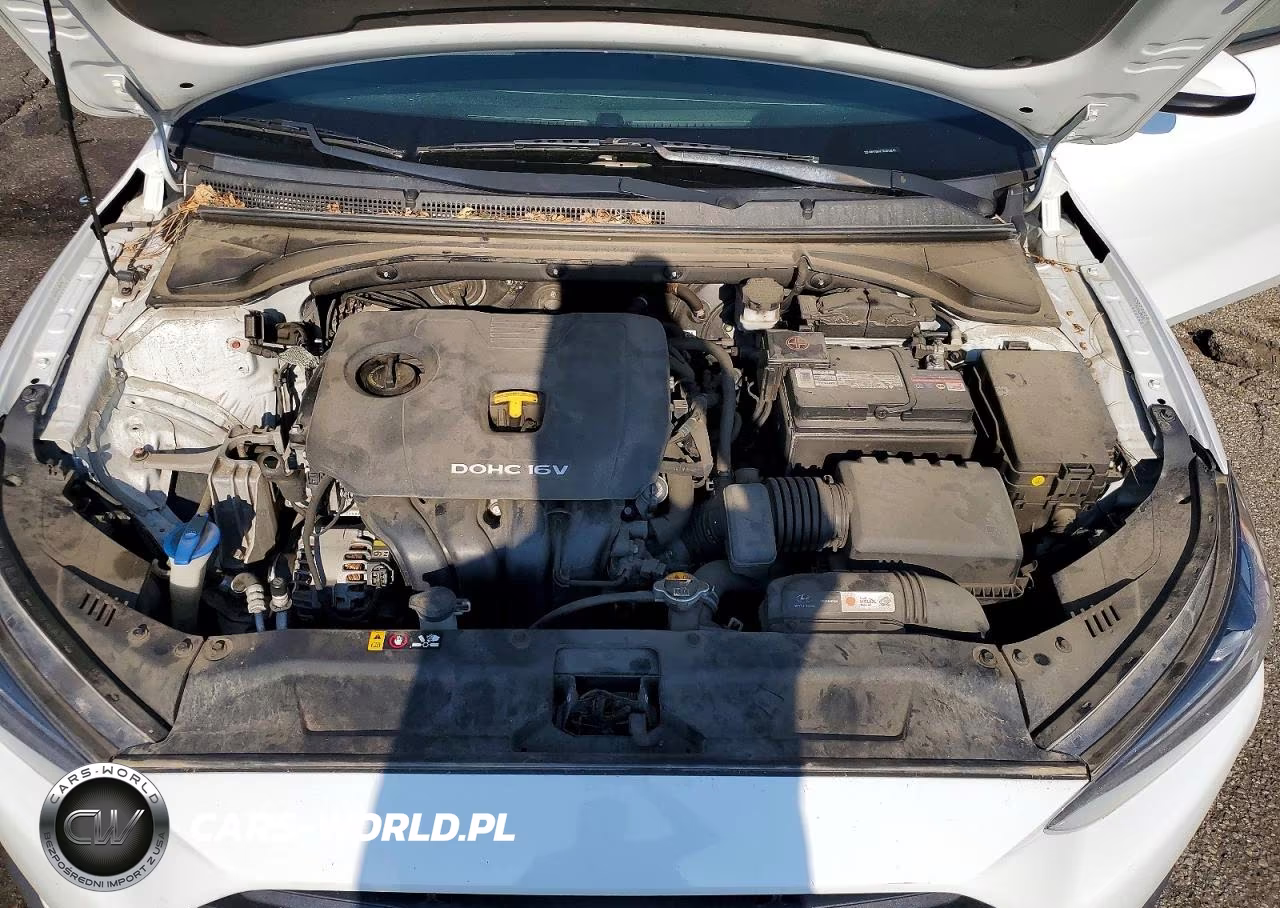 2019 Hyundai Veloster 2.0L VIN:KMHTG6AF7KU018243 - 11