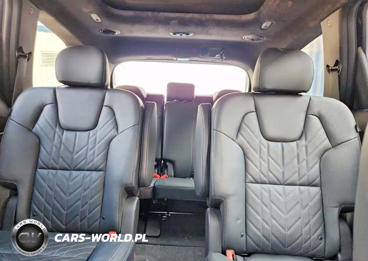 2025 Kia Telluride Sx-Prestige X-Line VIN:5XYP5DGC8SG735314 - 10