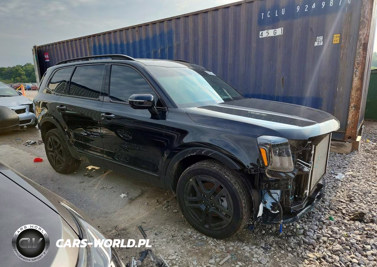 2025 Kia Telluride Sx-Prestige X-Line VIN:5XYP5DGC8SG735314 - 4
