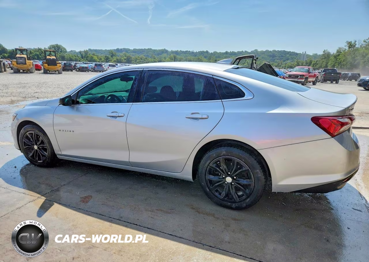 2019 Chevrolet Malibu Lt VIN:1G1ZD5ST0KF160064 - 2