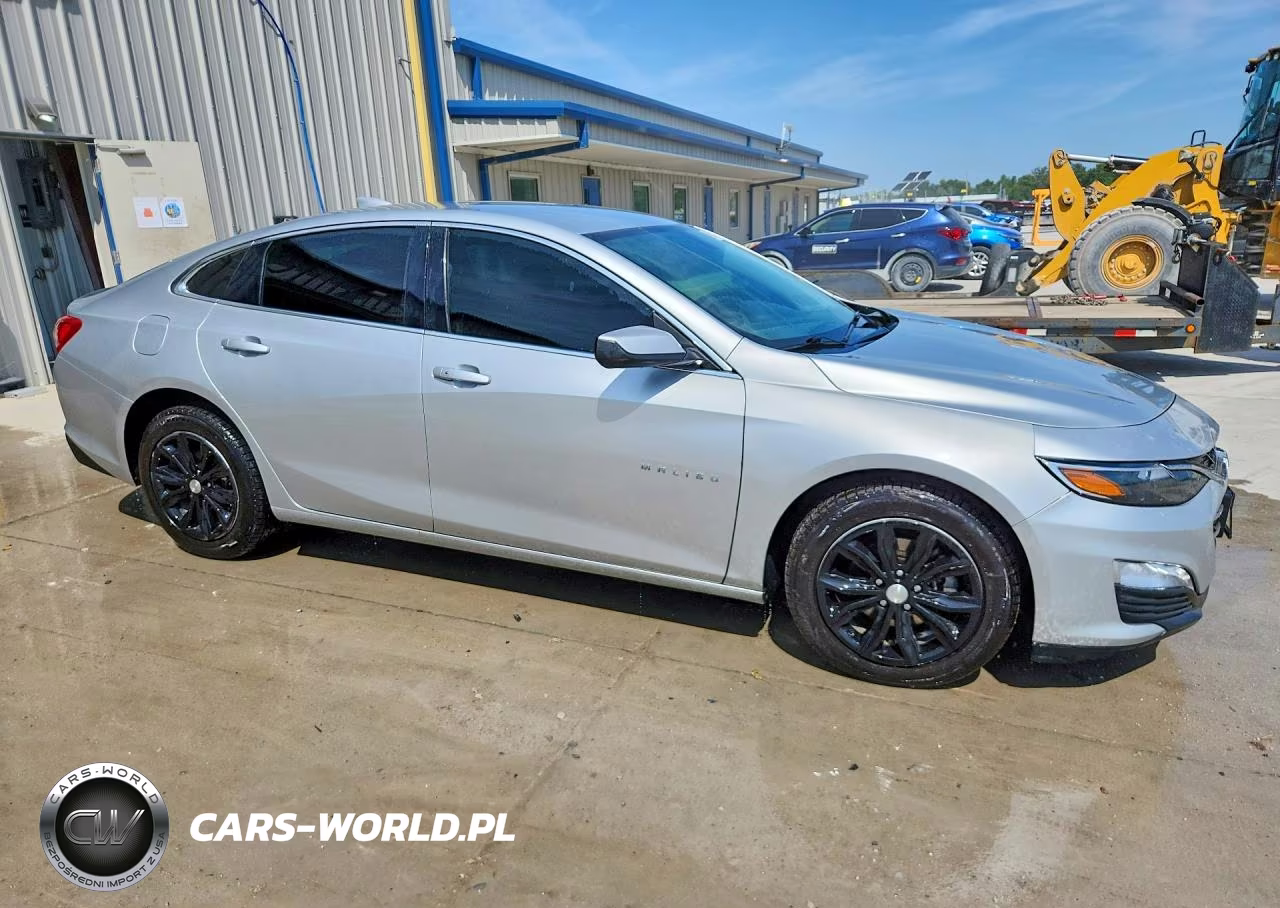 2019 Chevrolet Malibu Lt VIN:1G1ZD5ST0KF160064 - 4