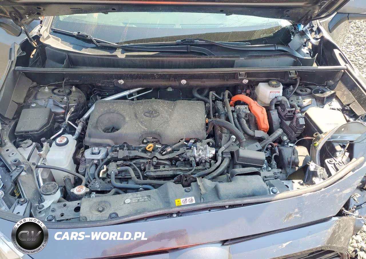 2024 Toyota Rav4 Hybrid Xle VIN:4T3RWRFV7RU131576 - 12
