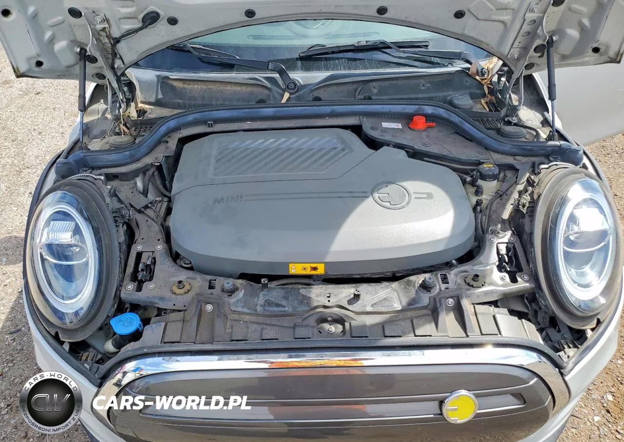 2021 Mini Cooper Se VIN:WMWXP3C03M2N53272 - 11