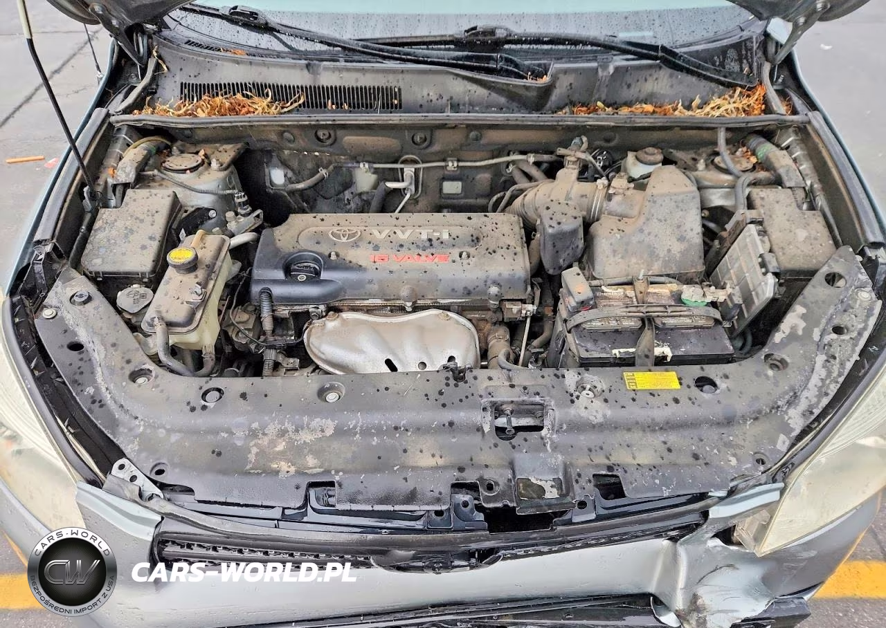 2008 Toyota Rav4 Base VIN:JTMBD33V186066992 - 12