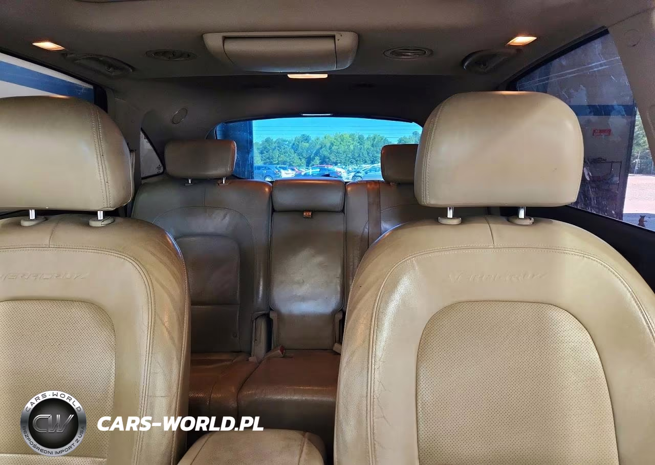 2007 Hyundai Veracruz Gls VIN:KM8NU13C27U023641 - 10