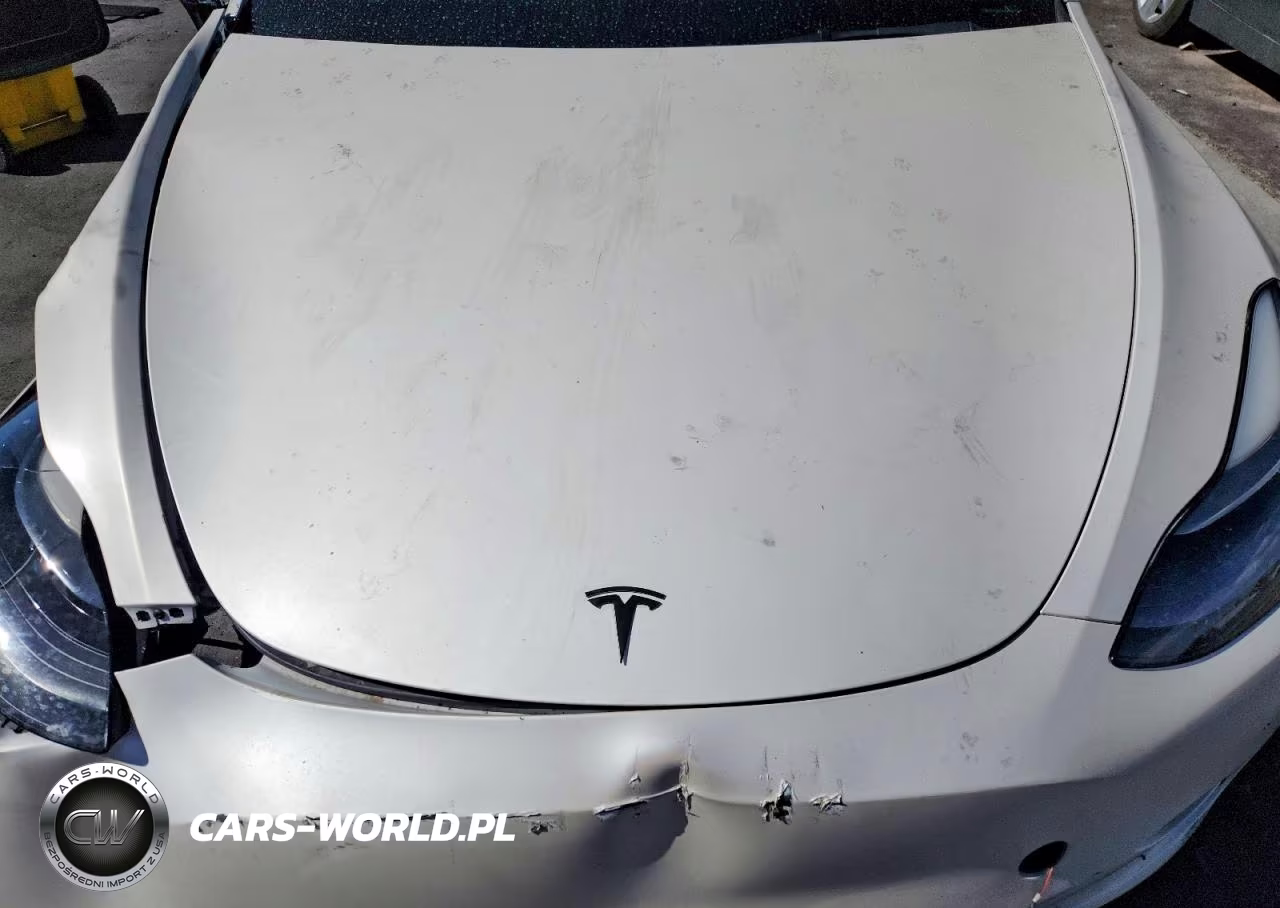 2022 Tesla Model Y VIN:7SAYGDEF6NF337545 - 11