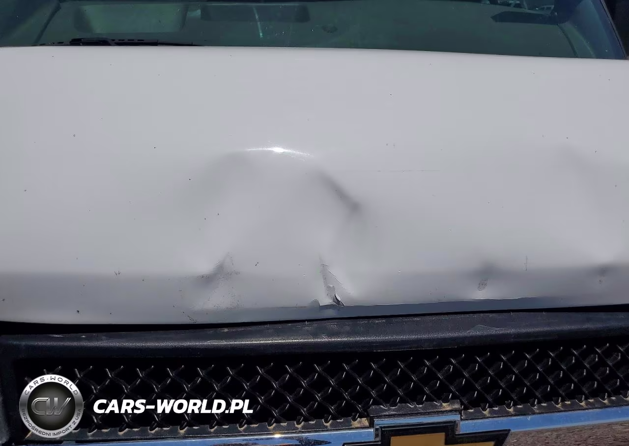 2019 Chevrolet Express G2500 VIN:1GCWGAFG8K1341000 - 12