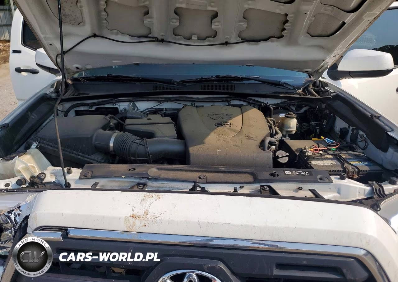 2016 Toyota Tacoma Sr5 V6 VIN:3TMAZ5CN7GM019411 - 11