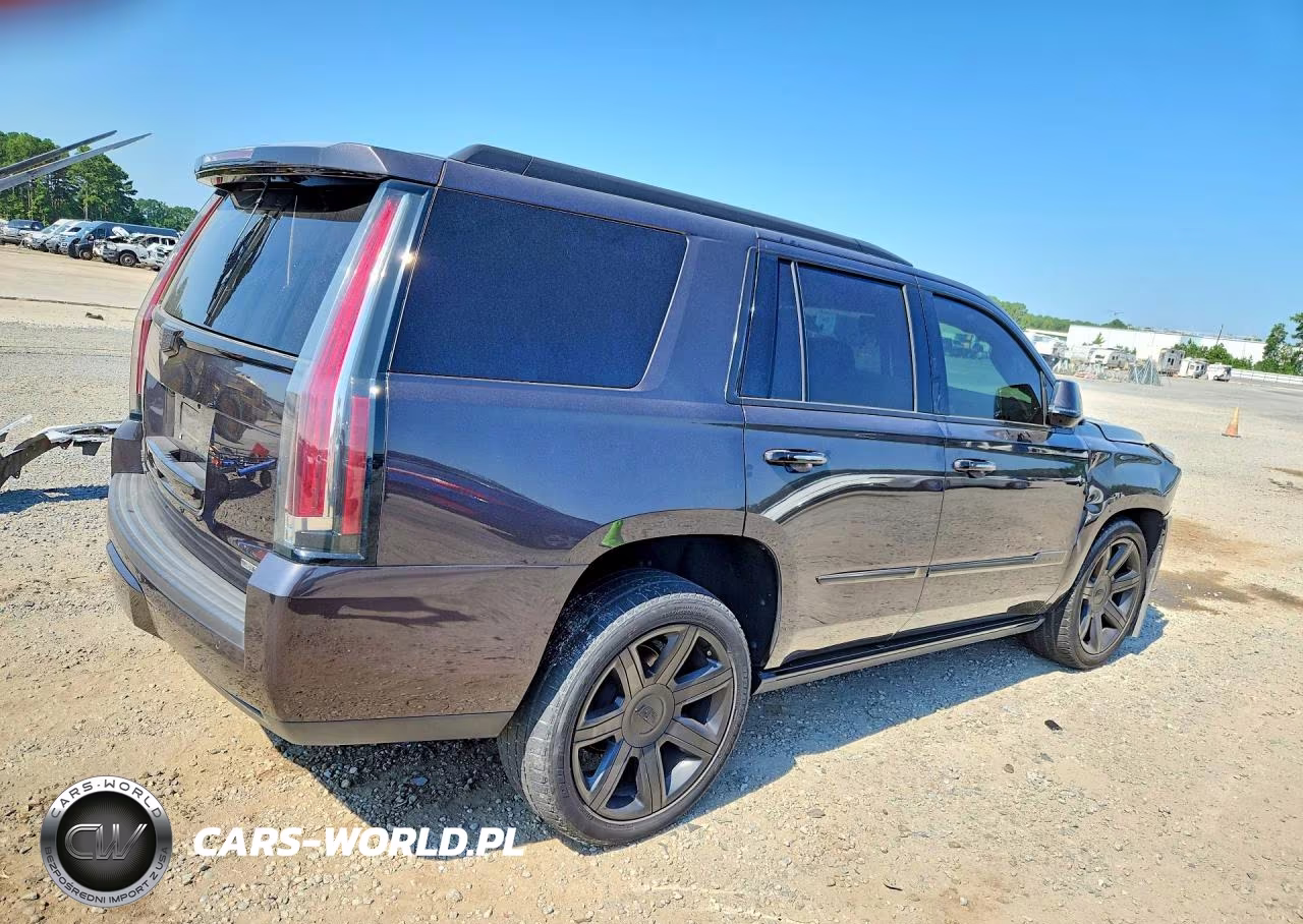 2016 Cadillac Escalade Premium VIN:1GYS3CKJXGR463190 - 3