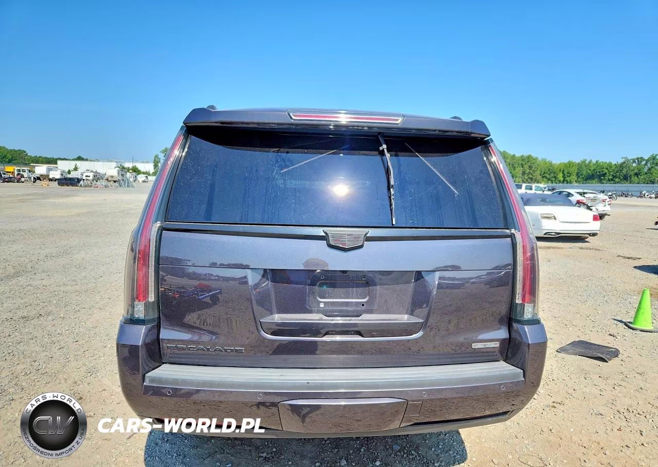 2016 Cadillac Escalade Premium VIN:1GYS3CKJXGR463190 - 6