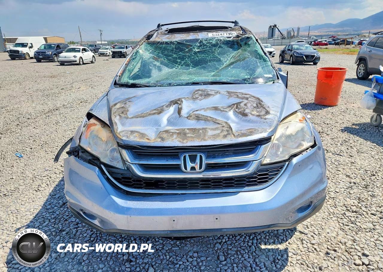 2010 Honda Cr-V Exl VIN:JHLRE4H76AC006020 - 5