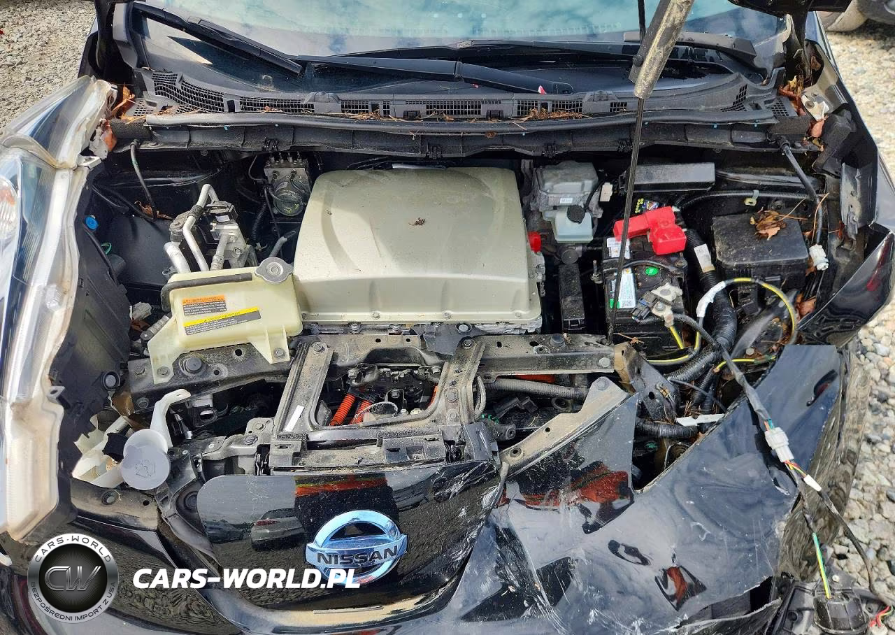 2016 Nissan Leaf Sv VIN:1N4BZ0CP3GC310102 - 11