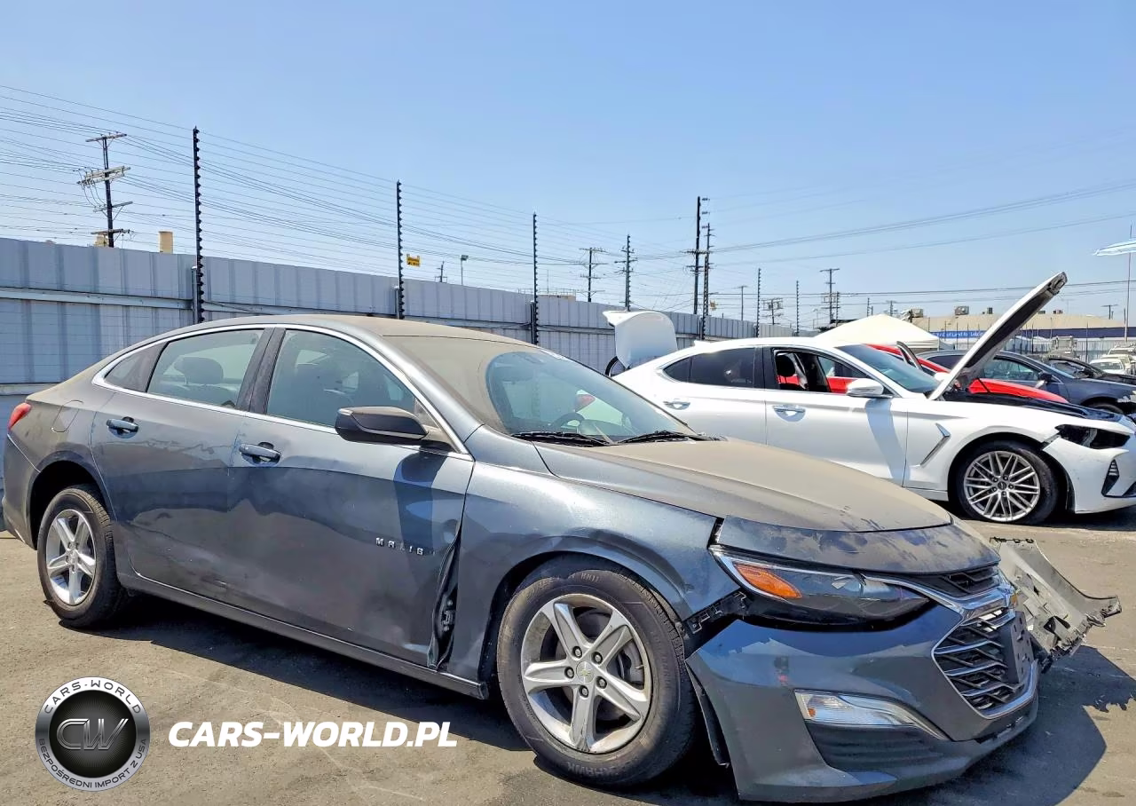 2019 Chevrolet Malibu Ls VIN:1G1ZB5ST6KF218720 - 4