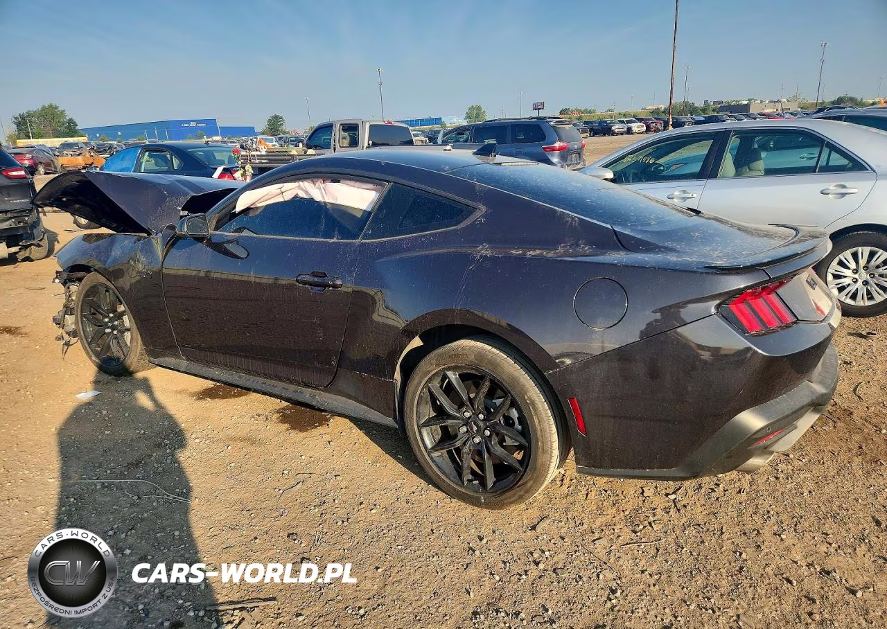 2024 Ford Mustang Gt VIN:1FA6P8CF1R5429514 - 2