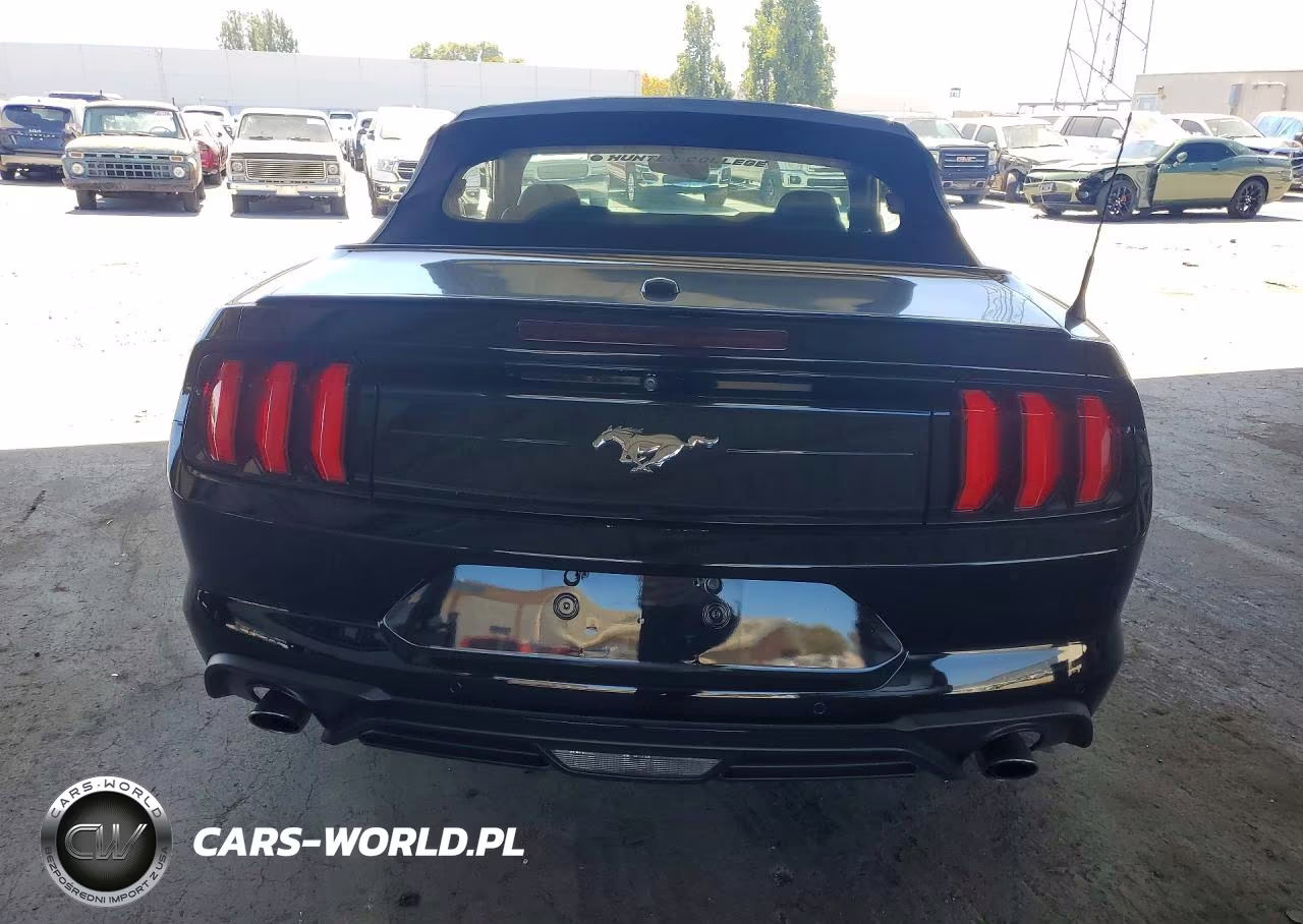 2021 Ford Mustang VIN:1FATP8UH6M5121248 - 6