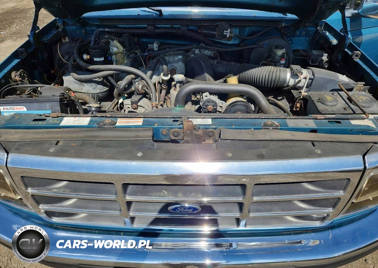 1996 Ford F150 VIN:2FTEF14Y0TCA37041 - 11