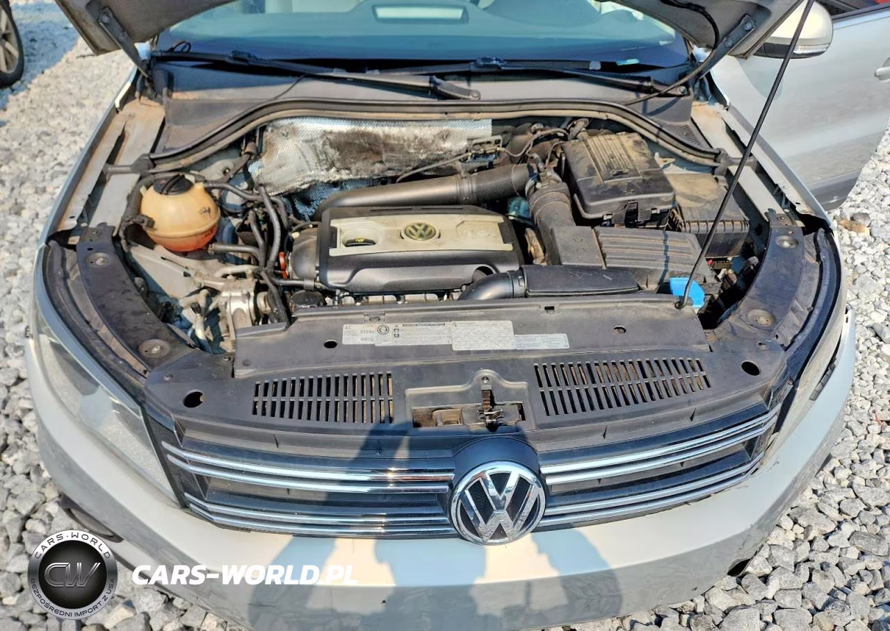 2012 Volkswagen Tiguan S VIN:WVGAV7AX0CW536955 - 12