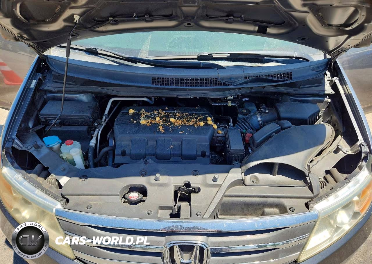 2013 Honda Odyssey Lx VIN:5FNRL5H21DB013848 - 12