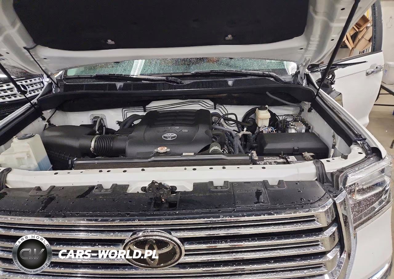 2018 Toyota Tundra 1794 Edition VIN:5TFAW5F12JX692951 - 11