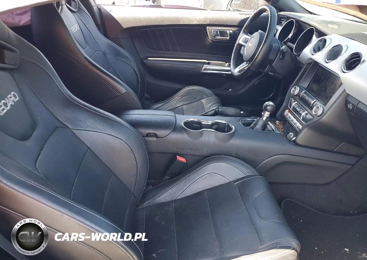 2015 Ford Mustang Gt VIN:1FA6P8CF4F5343173 - 10