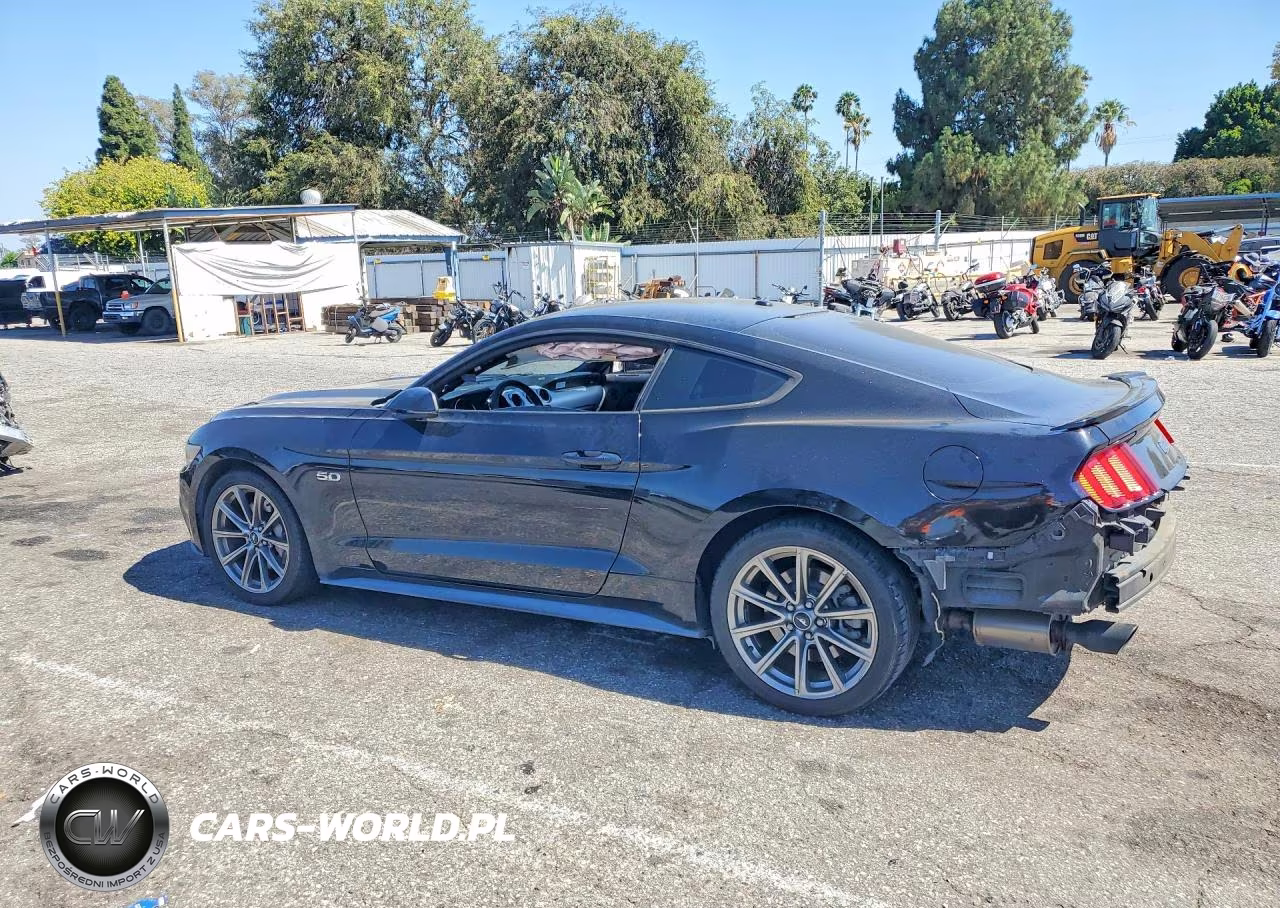 2015 Ford Mustang Gt VIN:1FA6P8CF4F5343173 - 2