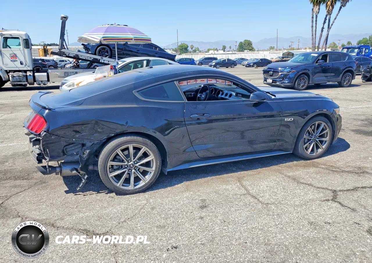 2015 Ford Mustang Gt VIN:1FA6P8CF4F5343173 - 3