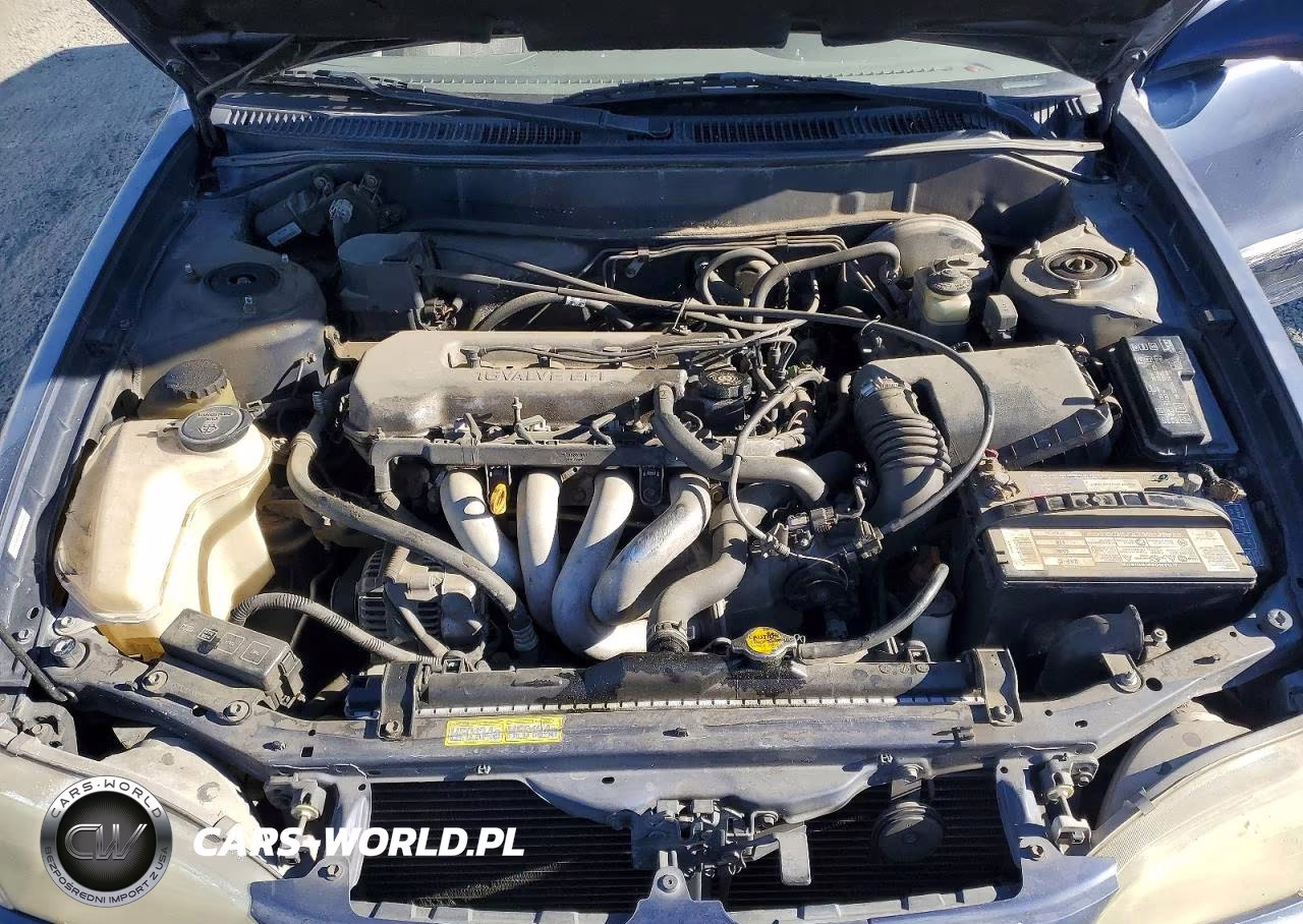1999 Toyota Corolla Ve VIN:1NXBR18E7XZ223008 - 11