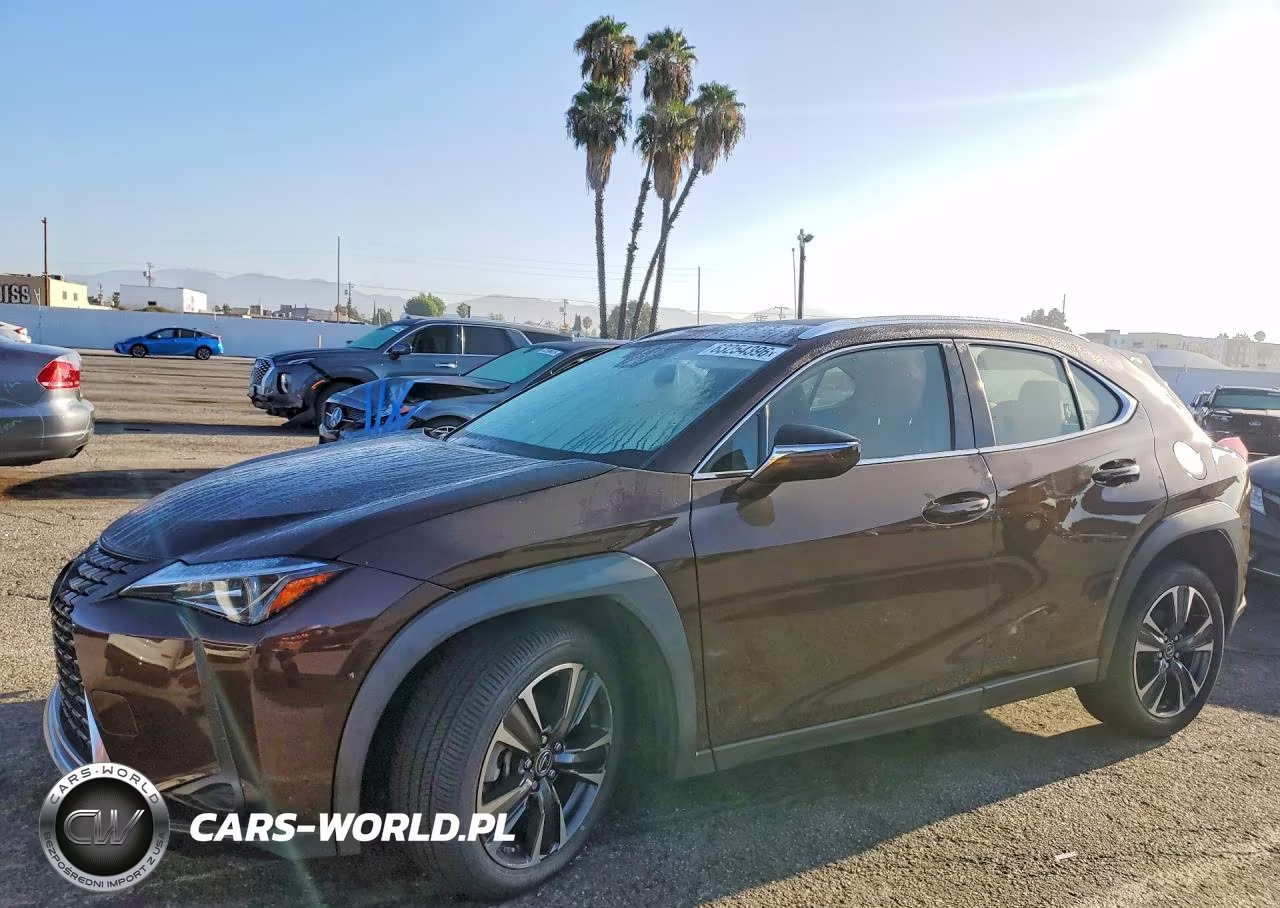 2019 Lexus Ux 200