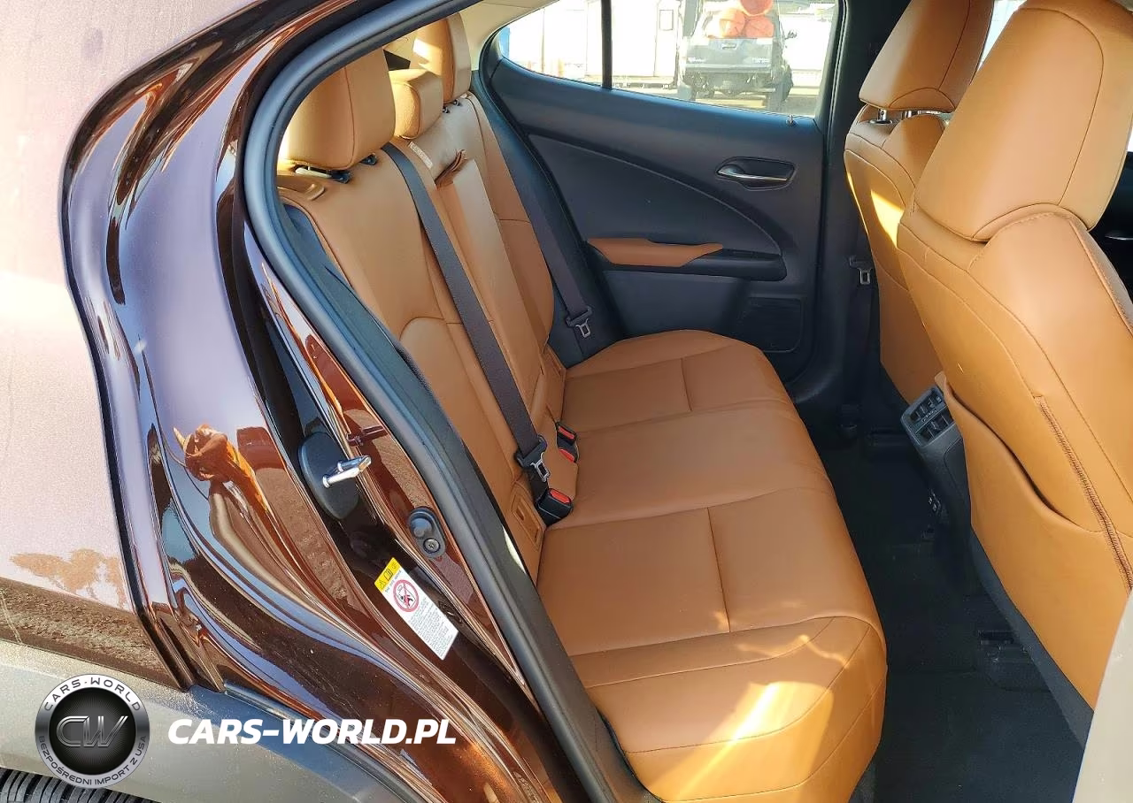 2019 Lexus Ux 200 VIN:JTHY3JBH0K2013596 - 10