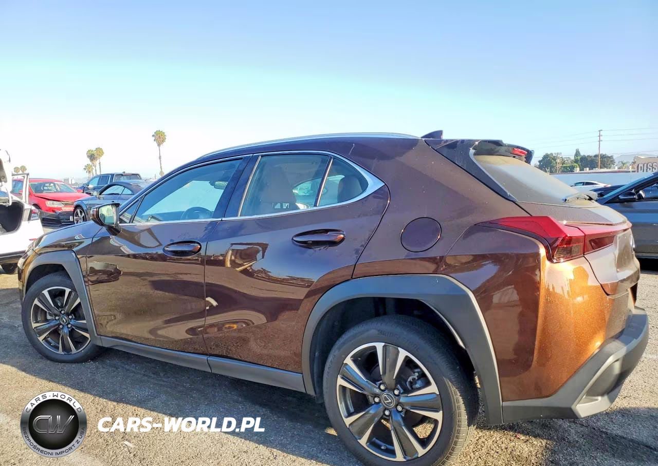 2019 Lexus Ux 200 VIN:JTHY3JBH0K2013596 - 2