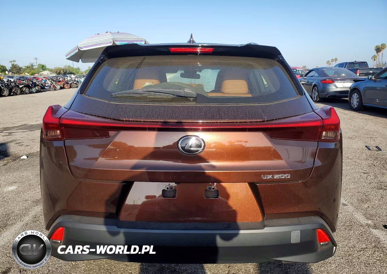 2019 Lexus Ux 200 VIN:JTHY3JBH0K2013596 - 6