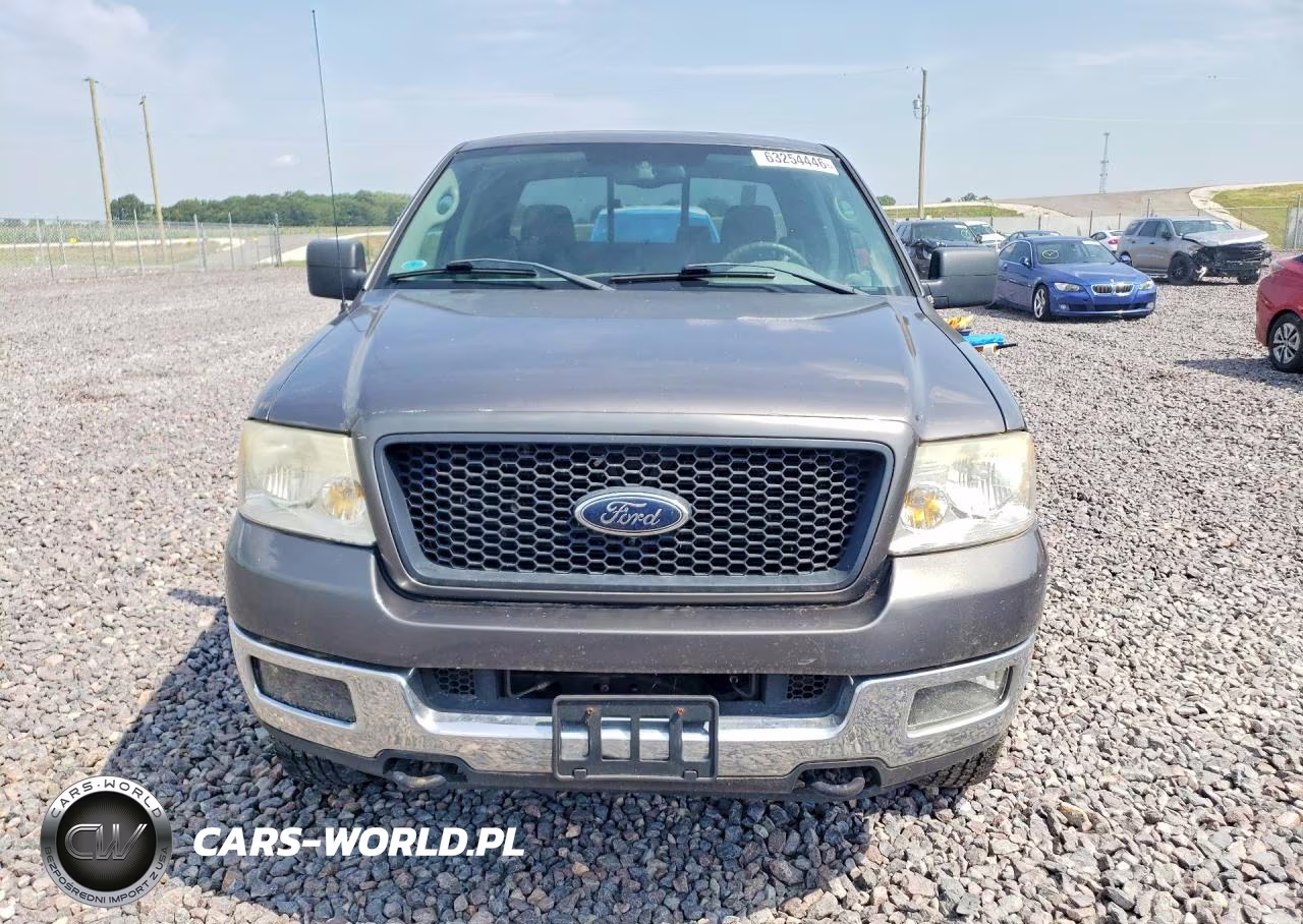 2005 Ford F150 VIN:1FTPX14545FB66306 - 5