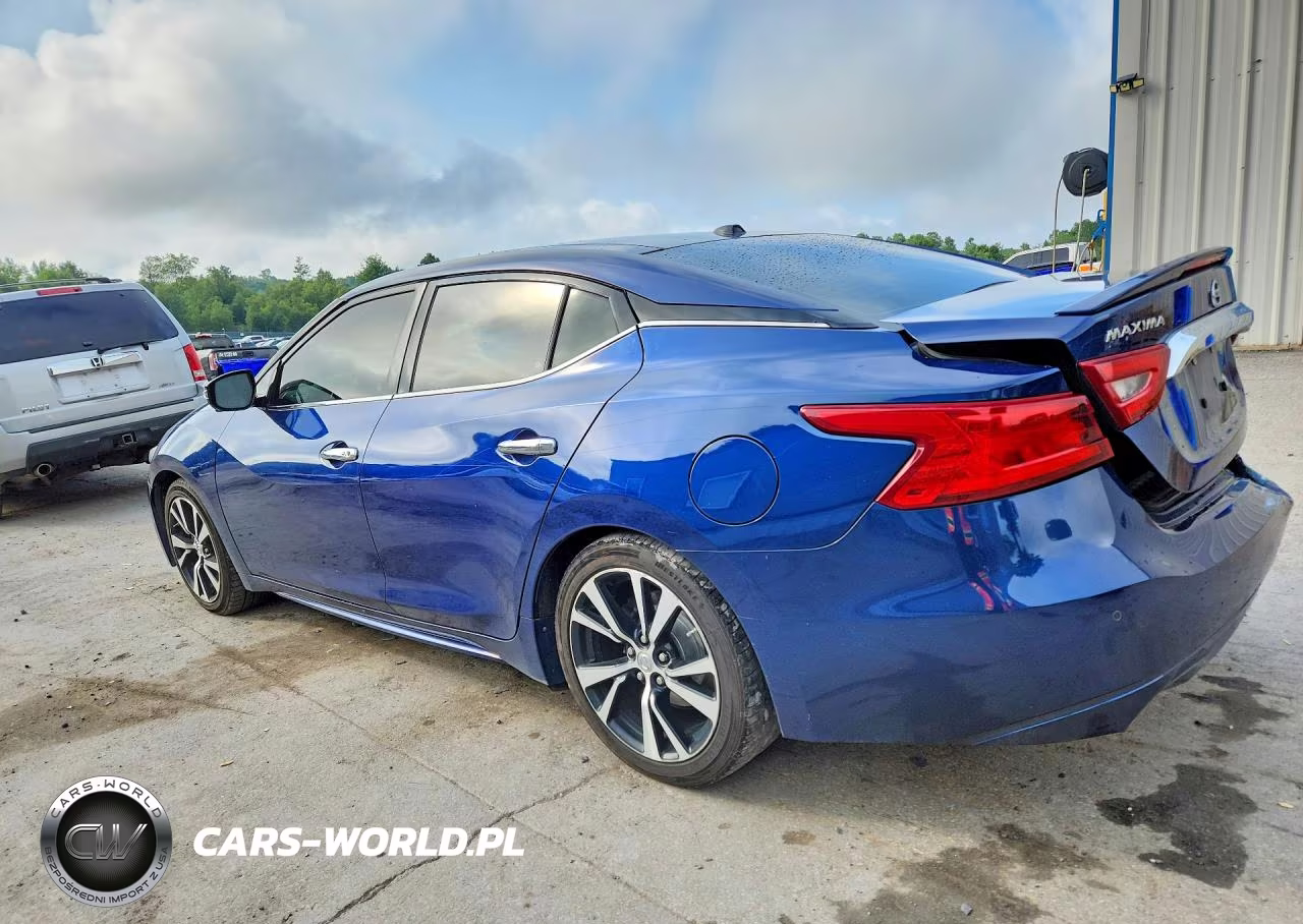 2018 Nissan Maxima Platinum VIN:1N4AA6APXJC382768 - 2