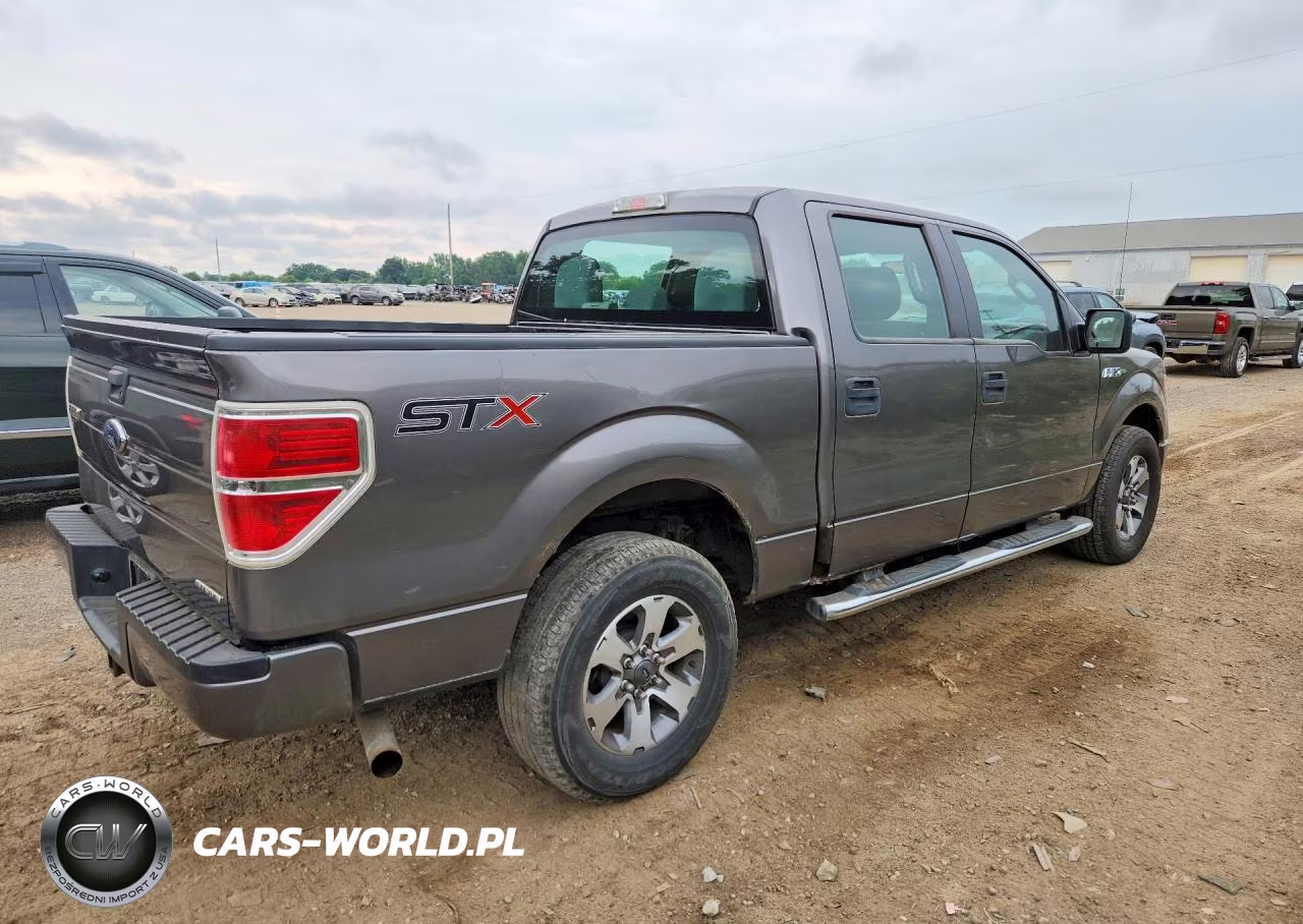 2014 Ford F150 Supercrew VIN:1FTFW1CF6EFC30709 - 3