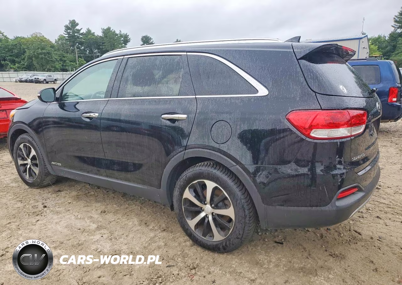 2018 Kia Sorento Ex VIN:5XYPHDA5XJG366133 - 2