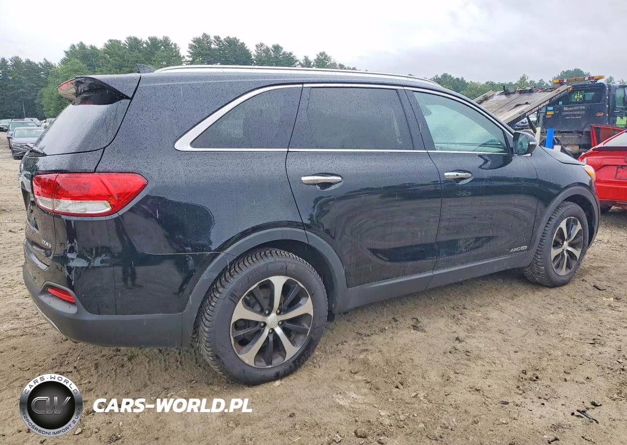2018 Kia Sorento Ex VIN:5XYPHDA5XJG366133 - 3